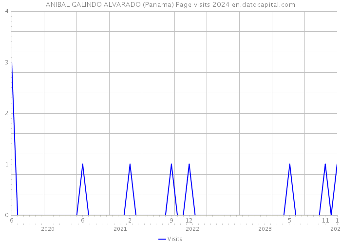 ANIBAL GALINDO ALVARADO (Panama) Page visits 2024 