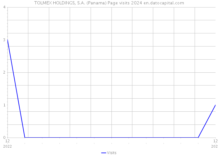 TOLMEX HOLDINGS, S.A. (Panama) Page visits 2024 