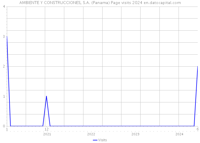 AMBIENTE Y CONSTRUCCIONES, S.A. (Panama) Page visits 2024 