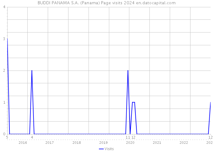 BUDDI PANAMA S.A. (Panama) Page visits 2024 