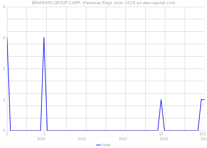 BRANNON GROUP CORP. (Panama) Page visits 2024 