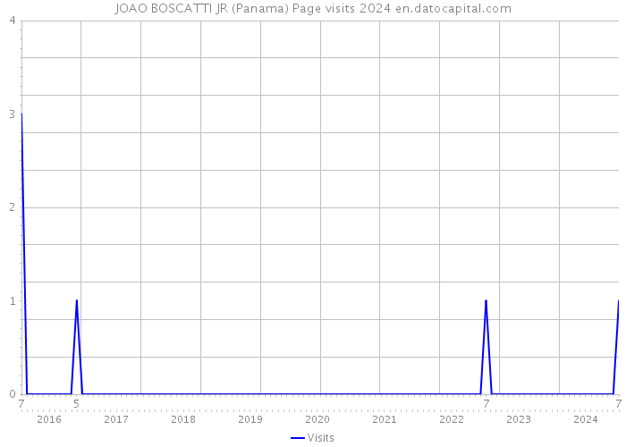 JOAO BOSCATTI JR (Panama) Page visits 2024 