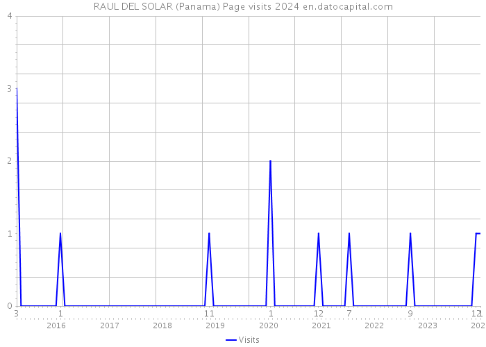 RAUL DEL SOLAR (Panama) Page visits 2024 