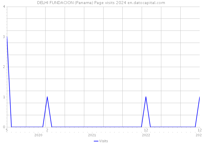 DELHI FUNDACION (Panama) Page visits 2024 