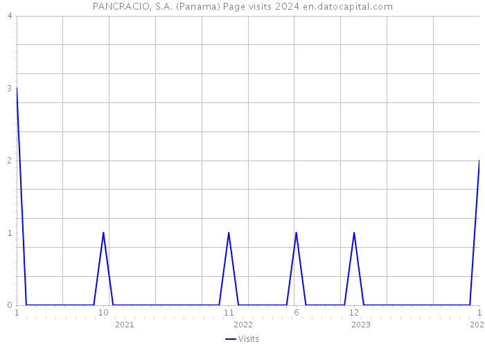 PANCRACIO, S.A. (Panama) Page visits 2024 