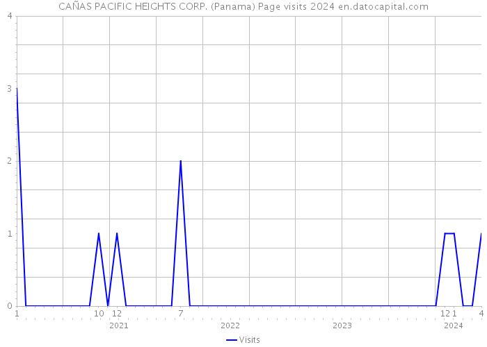 CAÑAS PACIFIC HEIGHTS CORP. (Panama) Page visits 2024 