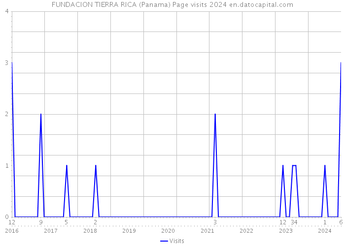 FUNDACION TIERRA RICA (Panama) Page visits 2024 