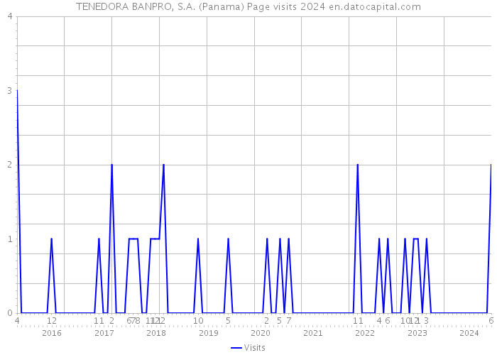 TENEDORA BANPRO, S.A. (Panama) Page visits 2024 