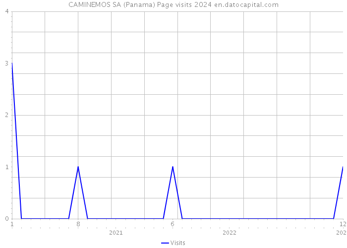CAMINEMOS SA (Panama) Page visits 2024 