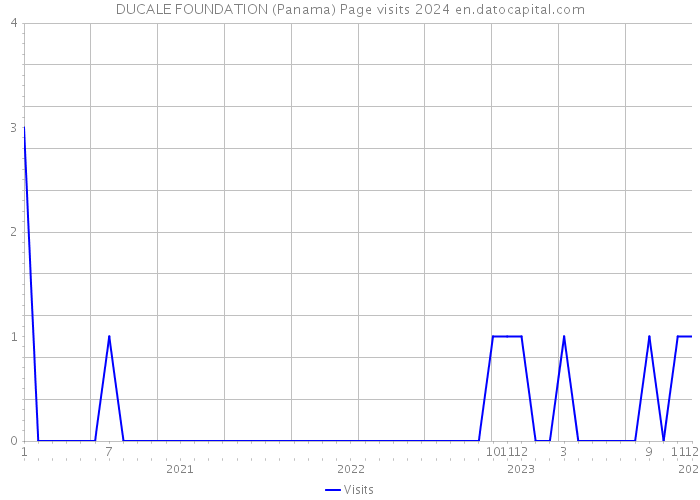 DUCALE FOUNDATION (Panama) Page visits 2024 