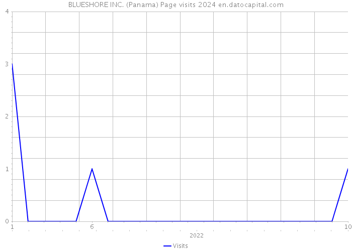 BLUESHORE INC. (Panama) Page visits 2024 