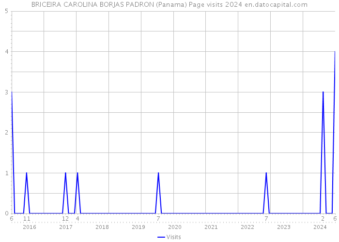BRICEIRA CAROLINA BORJAS PADRON (Panama) Page visits 2024 