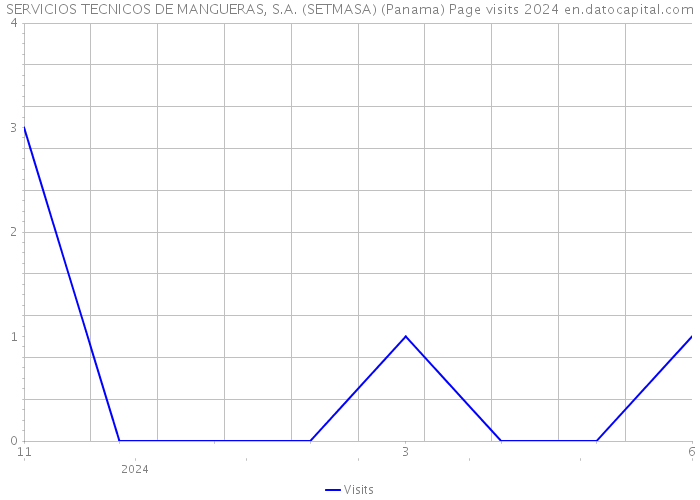 SERVICIOS TECNICOS DE MANGUERAS, S.A. (SETMASA) (Panama) Page visits 2024 