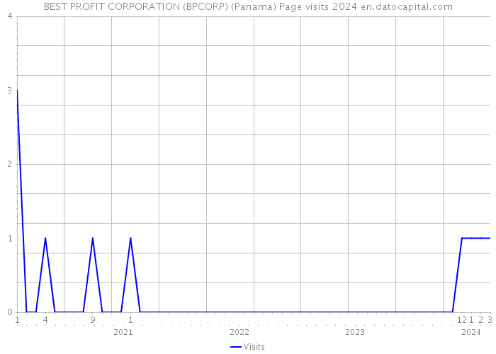 BEST PROFIT CORPORATION (BPCORP) (Panama) Page visits 2024 
