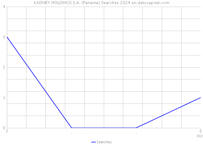 KADNEY HOLDINGS S.A. (Panama) Searches 2024 
