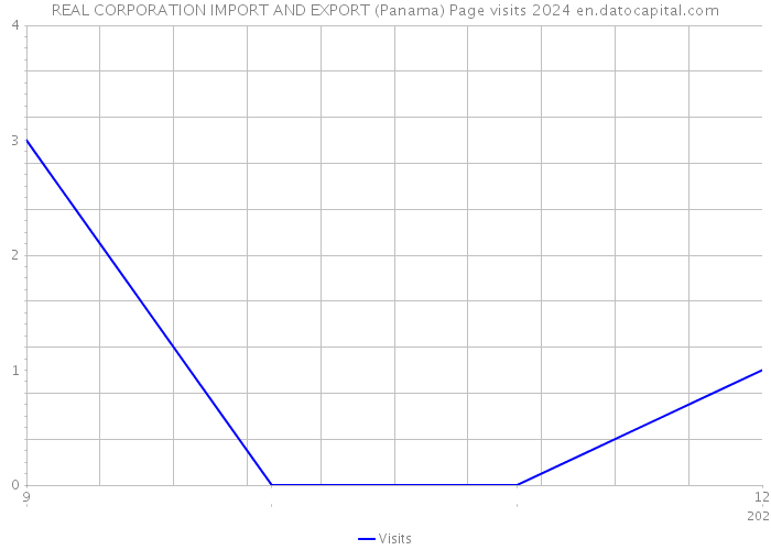REAL CORPORATION IMPORT AND EXPORT (Panama) Page visits 2024 