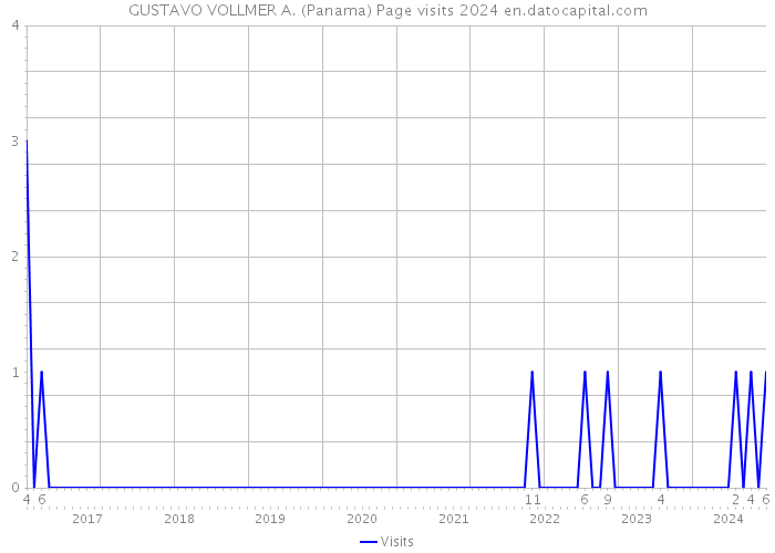 GUSTAVO VOLLMER A. (Panama) Page visits 2024 