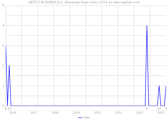 NETCO BUSINESS,S.A. (Panama) Page visits 2024 