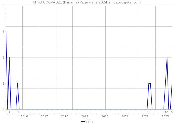 NINO GOGVADZE (Panama) Page visits 2024 