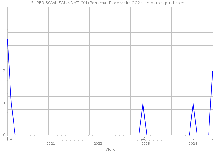 SUPER BOWL FOUNDATION (Panama) Page visits 2024 