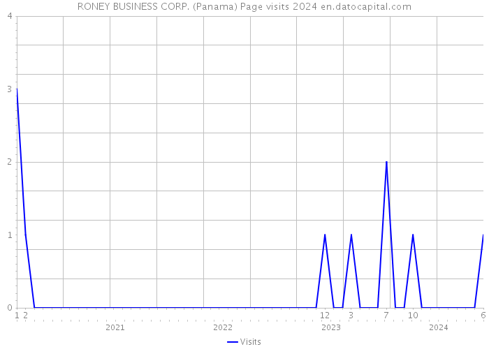 RONEY BUSINESS CORP. (Panama) Page visits 2024 