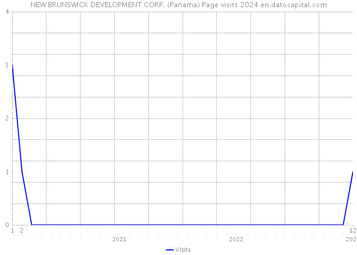 NEW BRUNSWICK DEVELOPMENT CORP. (Panama) Page visits 2024 