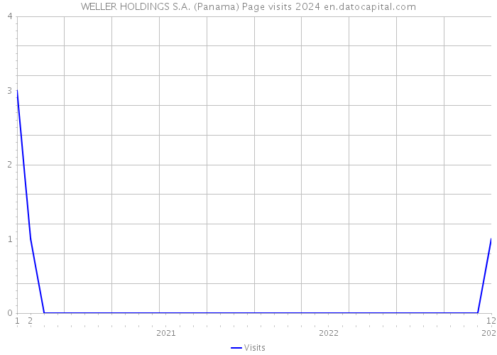 WELLER HOLDINGS S.A. (Panama) Page visits 2024 