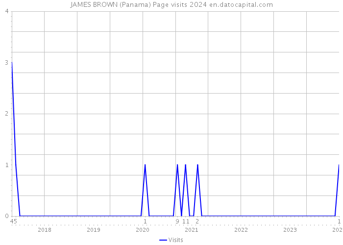 JAMES BROWN (Panama) Page visits 2024 