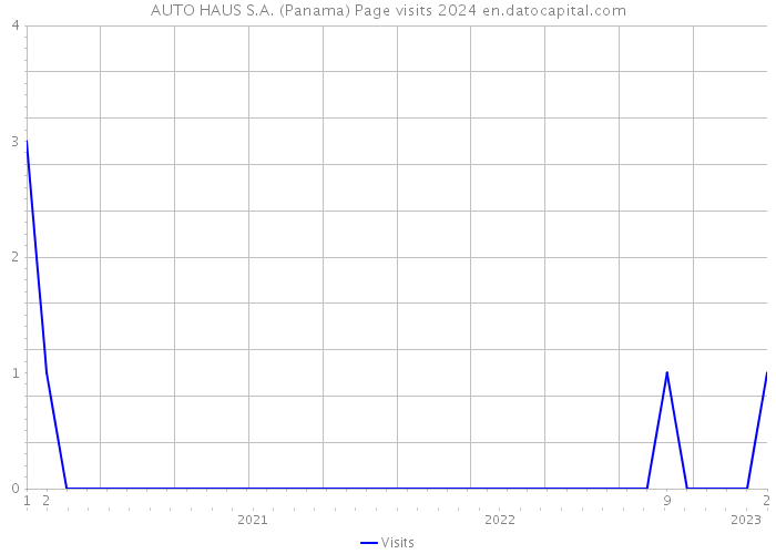 AUTO HAUS S.A. (Panama) Page visits 2024 