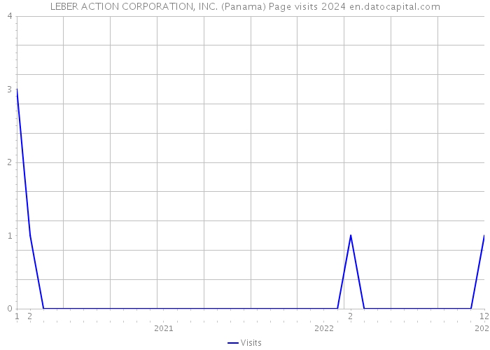LEBER ACTION CORPORATION, INC. (Panama) Page visits 2024 