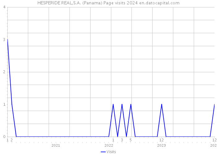 HESPERIDE REAL,S.A. (Panama) Page visits 2024 