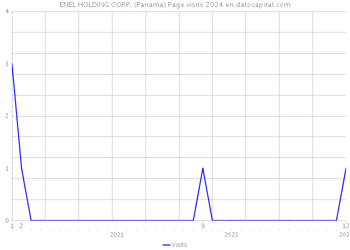 ENEL HOLDING CORP. (Panama) Page visits 2024 