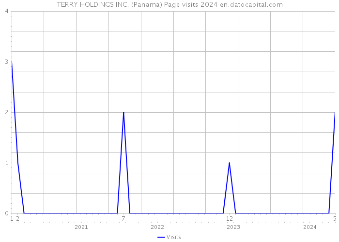 TERRY HOLDINGS INC. (Panama) Page visits 2024 