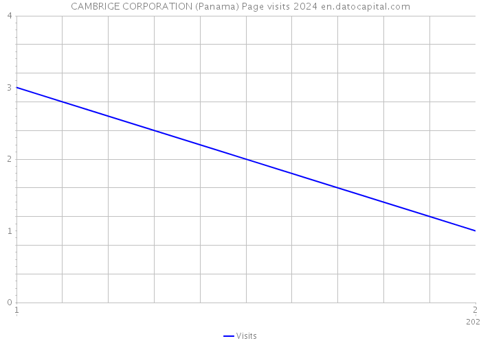 CAMBRIGE CORPORATION (Panama) Page visits 2024 