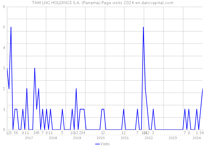 TAM LNG HOLDINGS S.A. (Panama) Page visits 2024 