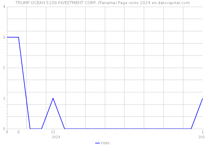 TRUMP OCEAN 5109 INVESTMENT CORP. (Panama) Page visits 2024 