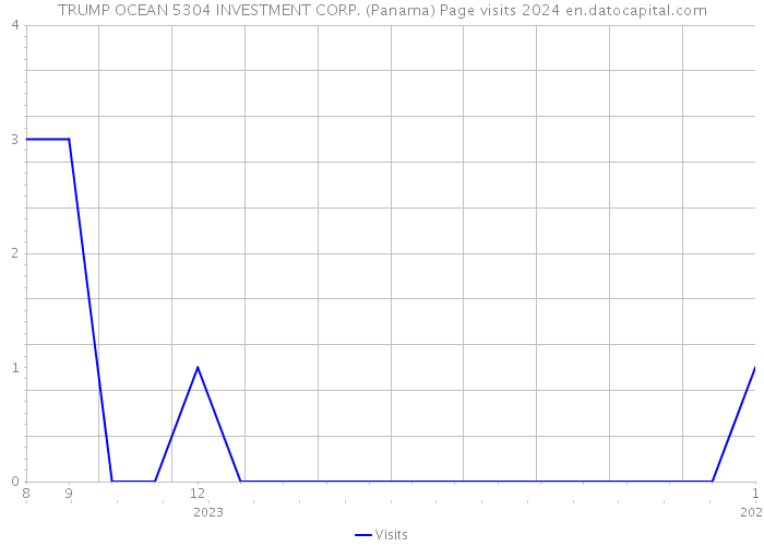 TRUMP OCEAN 5304 INVESTMENT CORP. (Panama) Page visits 2024 