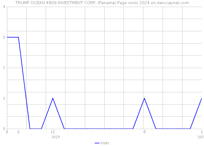 TRUMP OCEAN 4809 INVESTMENT CORP. (Panama) Page visits 2024 