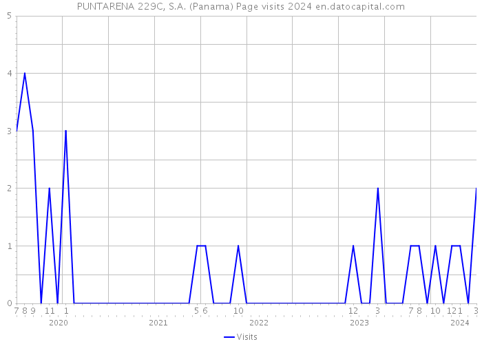 PUNTARENA 229C, S.A. (Panama) Page visits 2024 