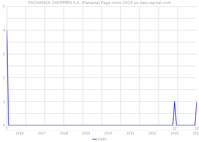 PACHANGA CHOPPERS S.A. (Panama) Page visits 2024 