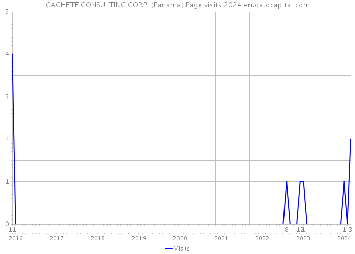 CACHETE CONSULTING CORP. (Panama) Page visits 2024 