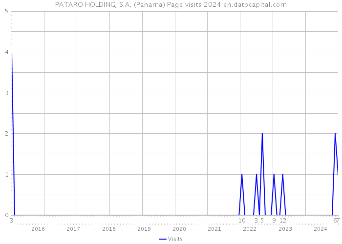 PATARO HOLDING, S.A. (Panama) Page visits 2024 