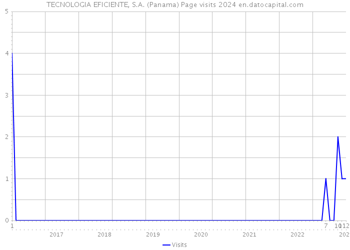 TECNOLOGIA EFICIENTE, S.A. (Panama) Page visits 2024 