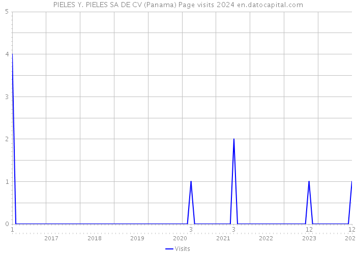 PIELES Y. PIELES SA DE CV (Panama) Page visits 2024 