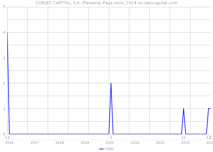 COPLEY CAPITAL, S.A. (Panama) Page visits 2024 