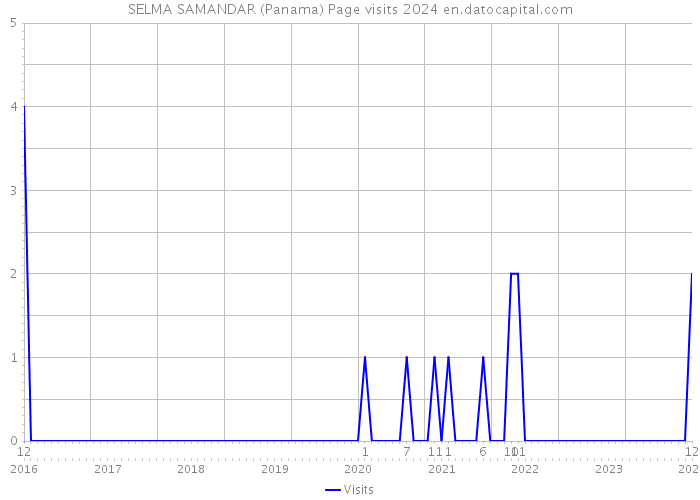 SELMA SAMANDAR (Panama) Page visits 2024 