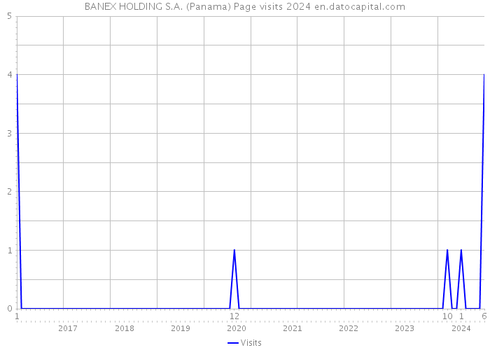 BANEX HOLDING S.A. (Panama) Page visits 2024 