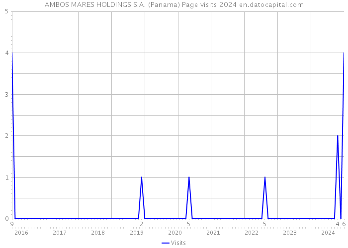 AMBOS MARES HOLDINGS S.A. (Panama) Page visits 2024 