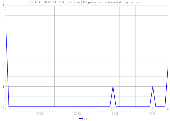 PERLITA TROPICAL S.A. (Panama) Page visits 2024 