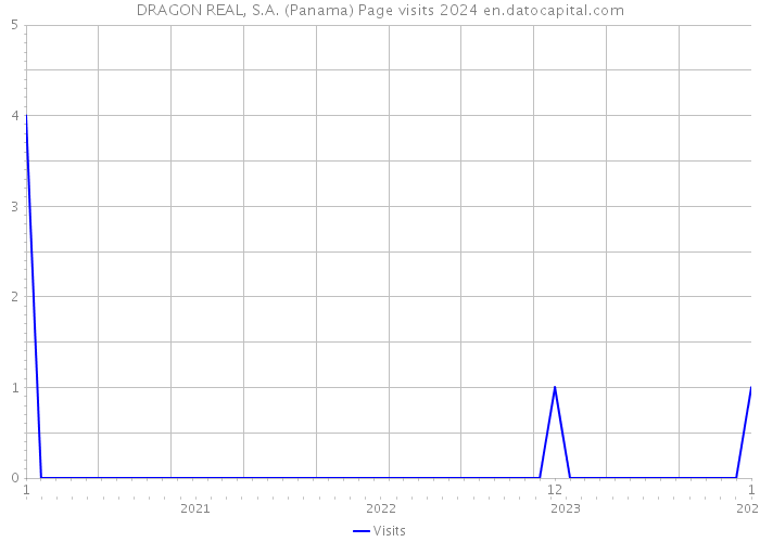 DRAGON REAL, S.A. (Panama) Page visits 2024 